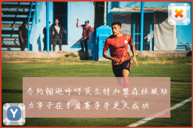 乔约翰逊呼吁莫兰特加盟森林狼助力华子在季后赛争夺更大成功