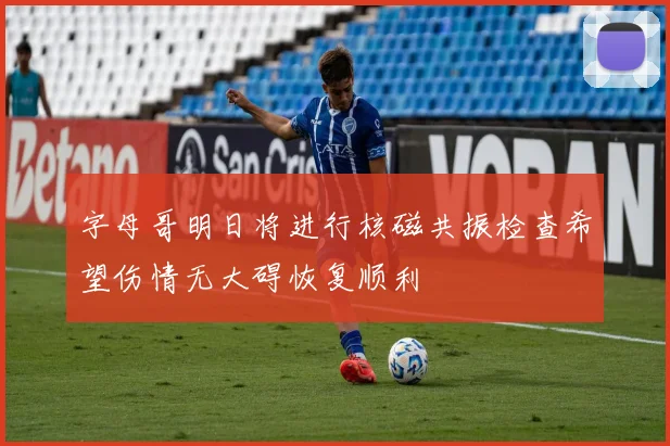 字母哥明日将进行核磁共振检查希望伤情无大碍恢复顺利