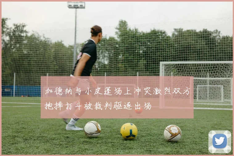 加德纳与小皮蓬场上冲突激烈双方抱摔打斗被裁判驱逐出场