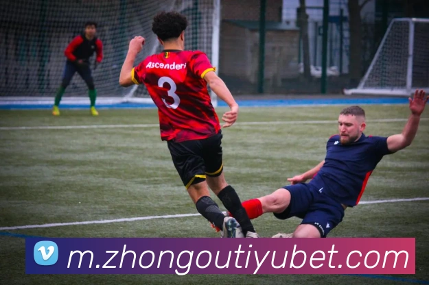 多媒体互动体验